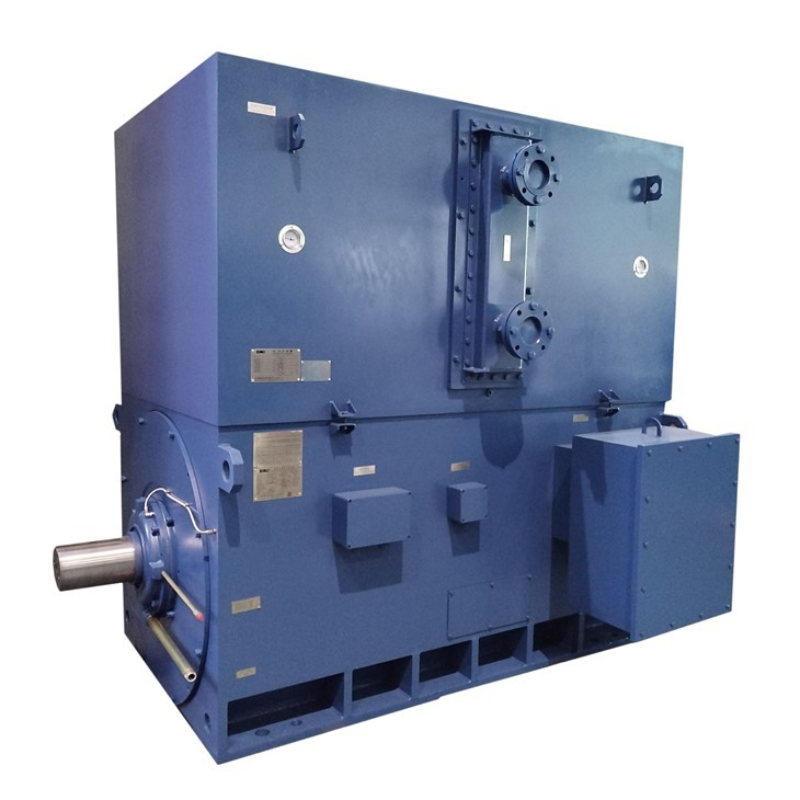 3-fazowy silnik indukcyjny wiewiórkowy o mocy 800 kW